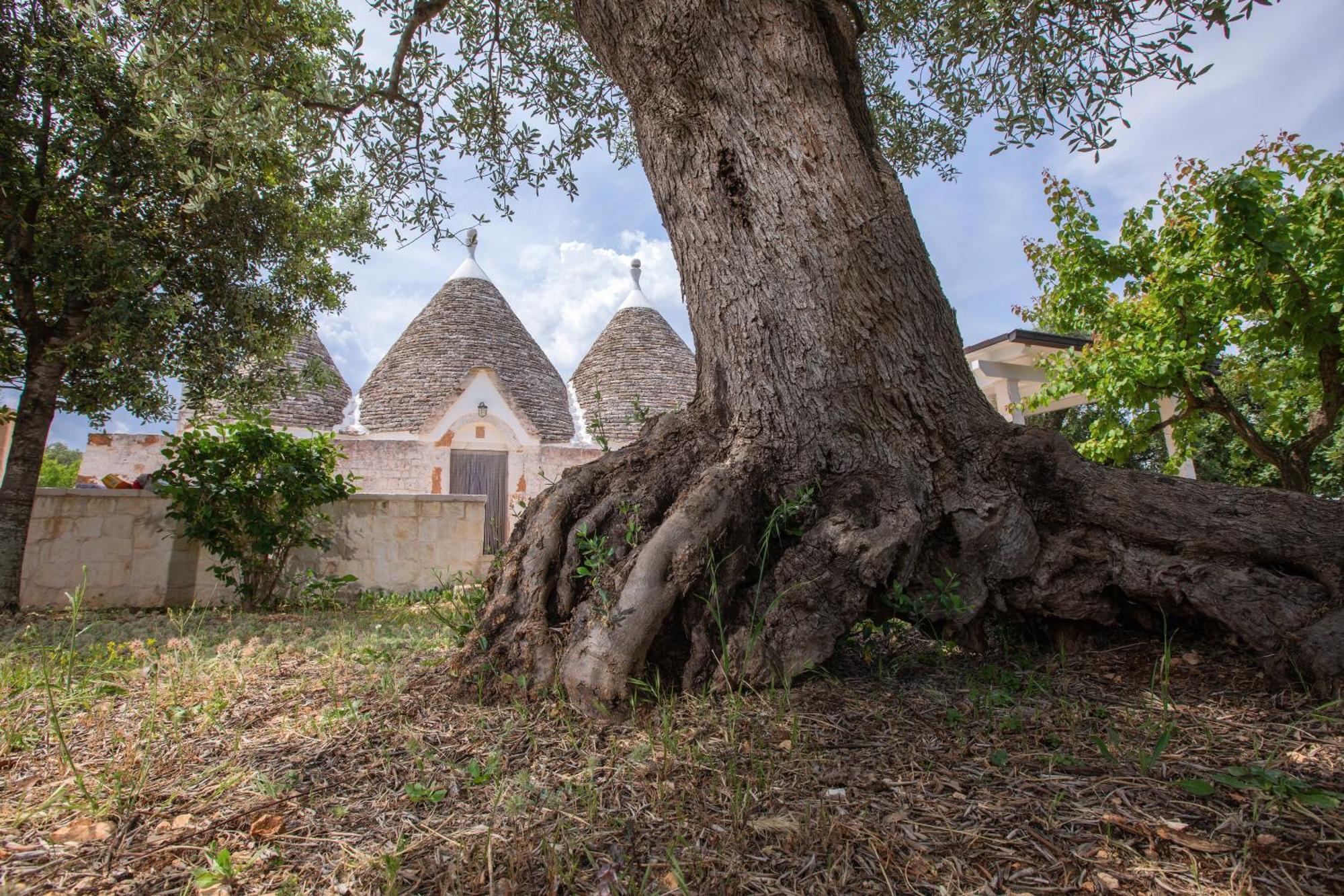 Villa Trulli Foggia Dell'Albero à Polignano a Mare Extérieur photo