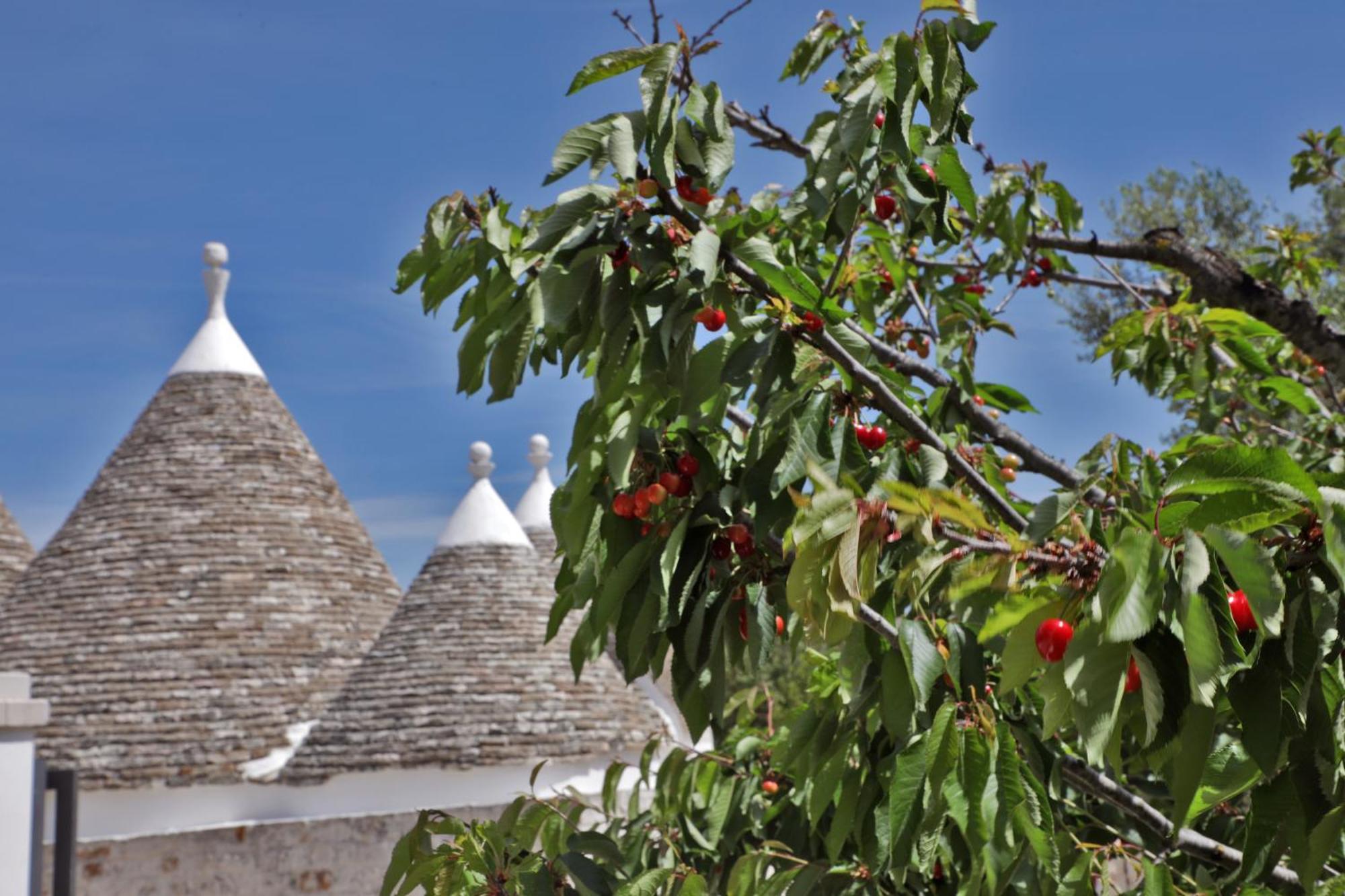 Villa Trulli Foggia Dell'Albero à Polignano a Mare Extérieur photo