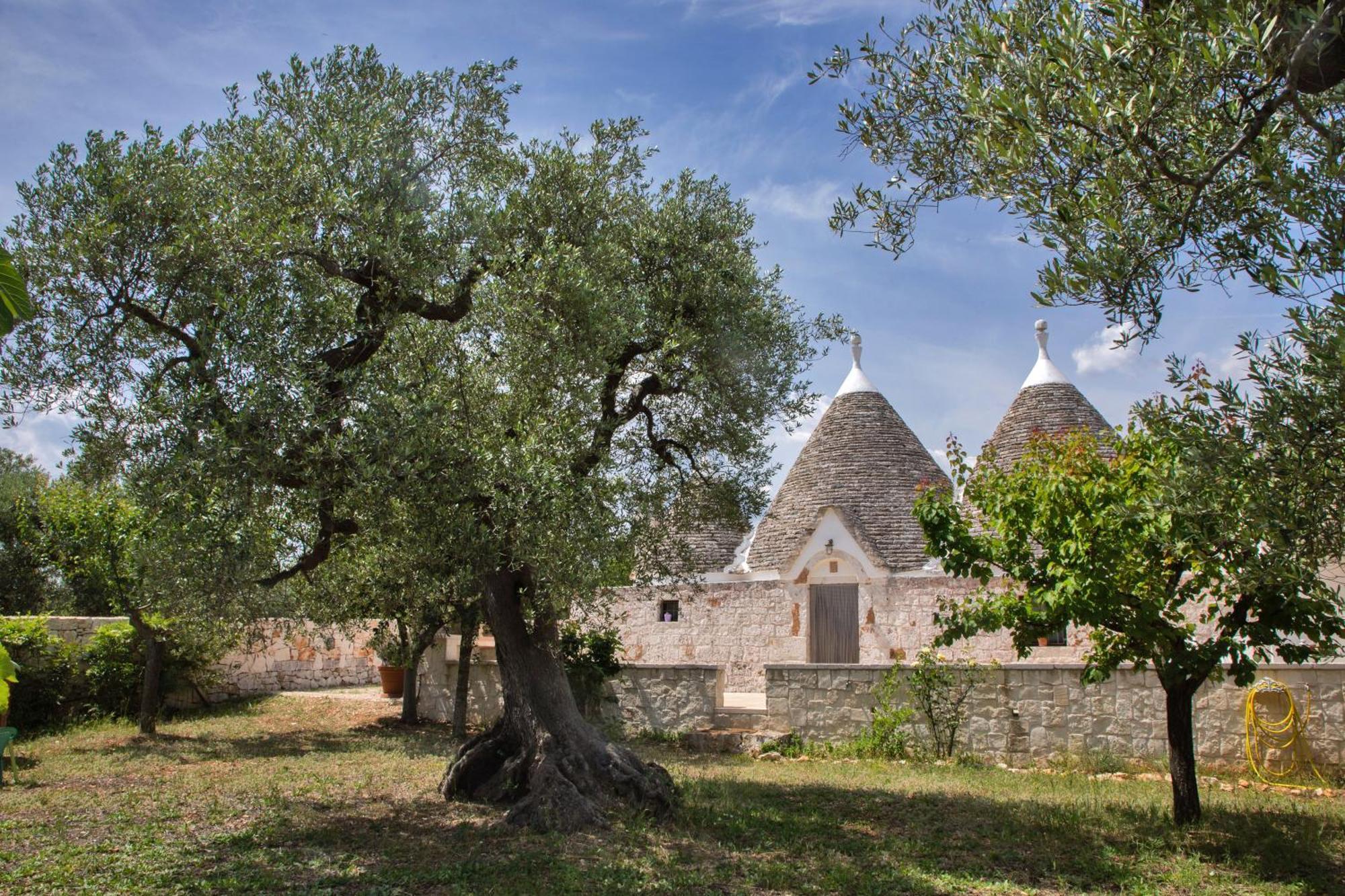 Villa Trulli Foggia Dell'Albero à Polignano a Mare Extérieur photo